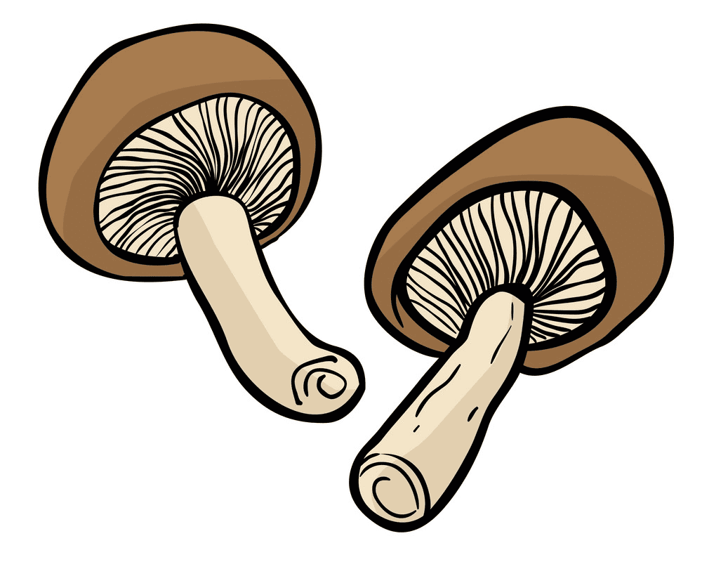 Mushrooms clipart png