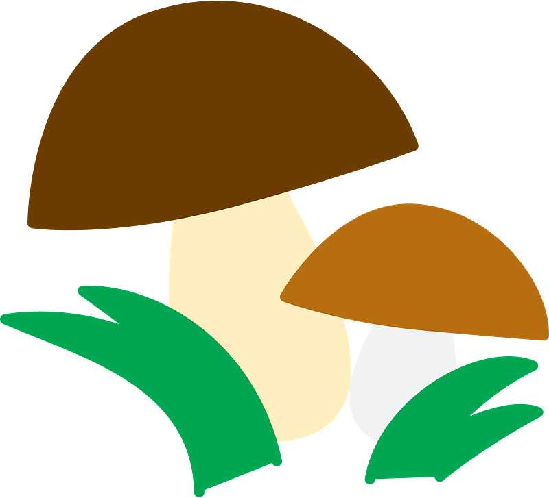 Mushrooms clipart transparent 1
