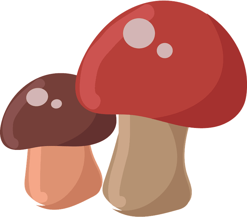 Mushrooms clipart transparent 3