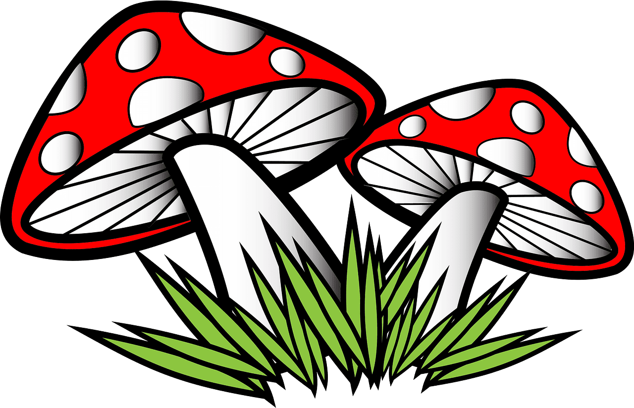 Mushrooms clipart transparent 5