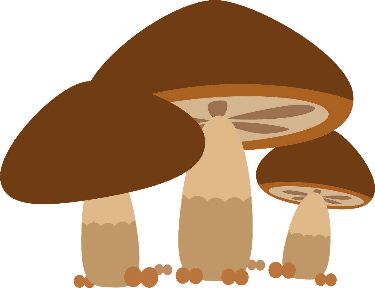 Mushrooms clipart transparent 9