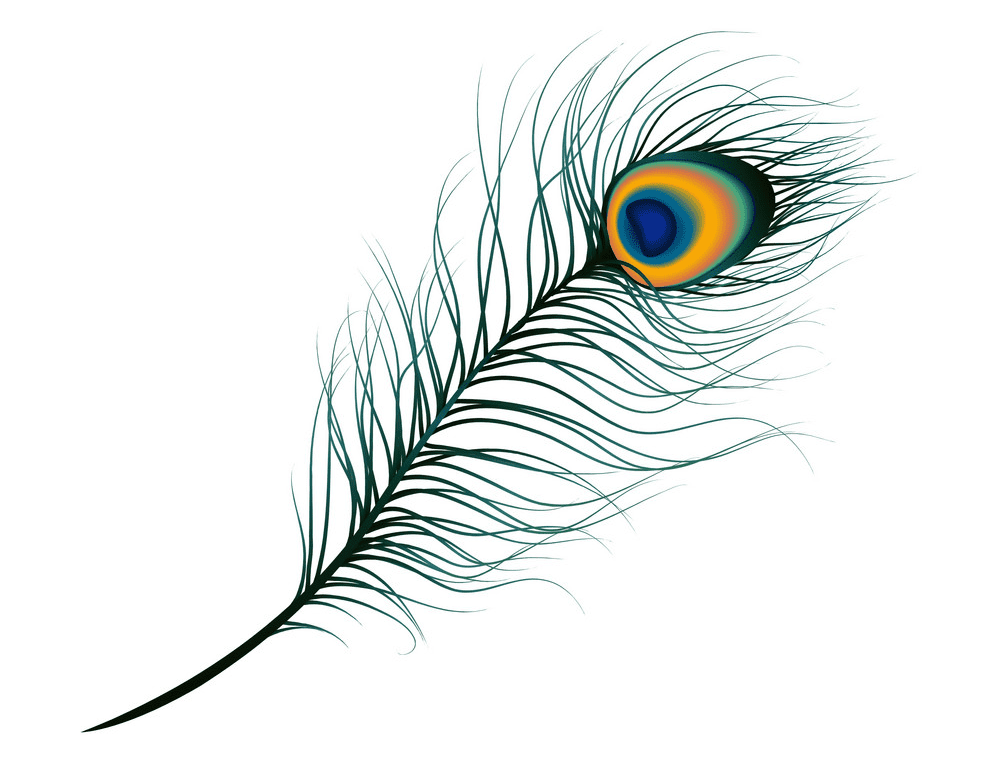 Peacock Feather clipart 1
