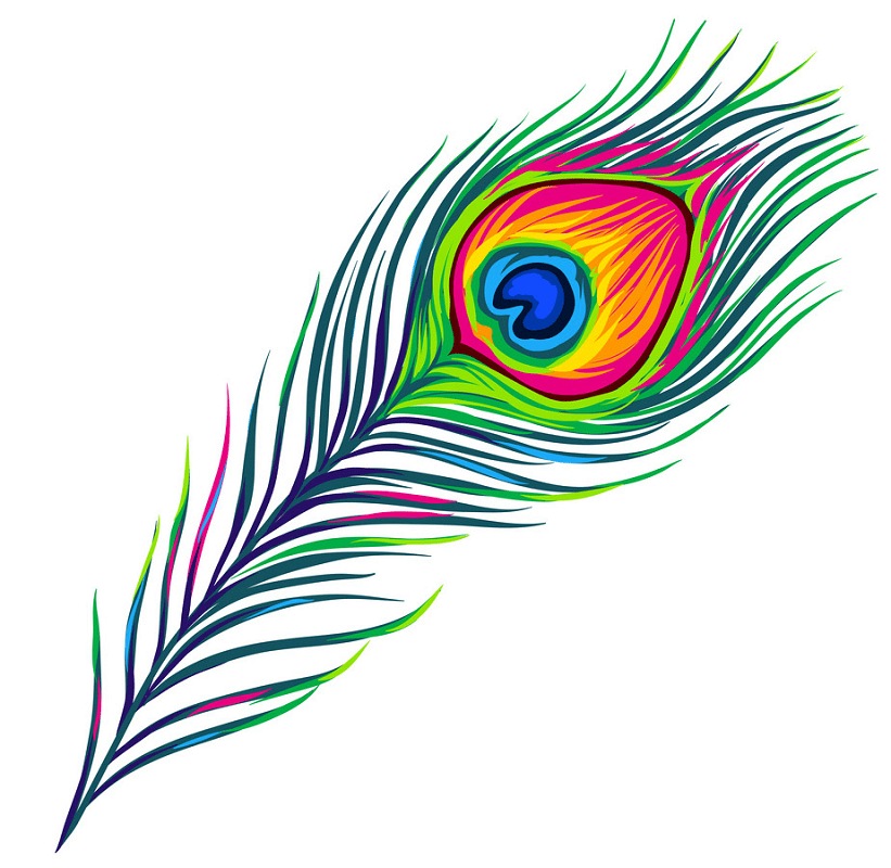 Peacock Feather clipart 3