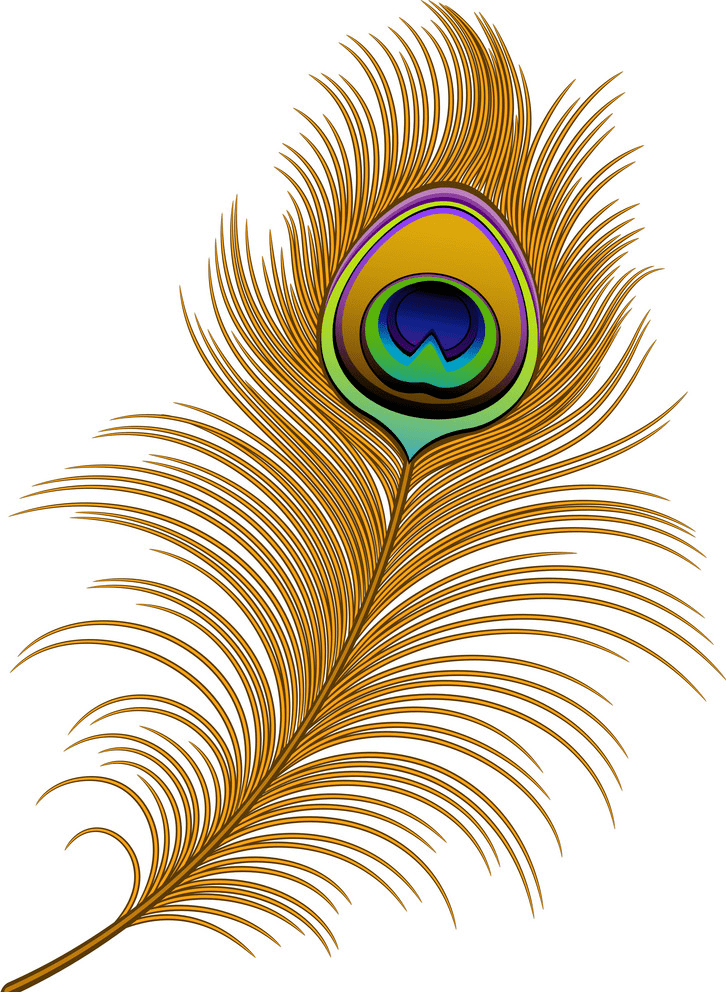Peacock Feather clipart free