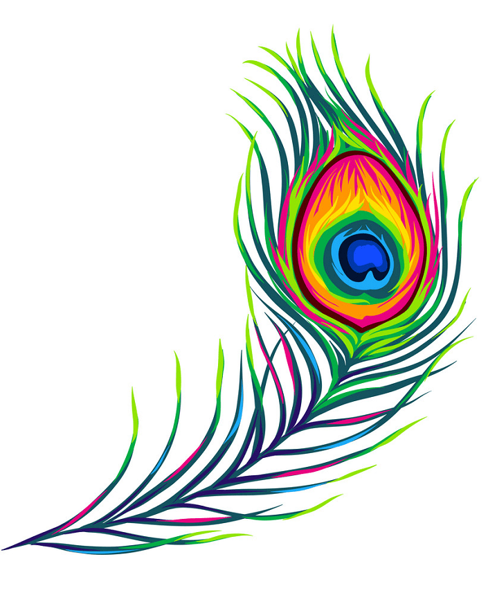Peacock Feather clipart images