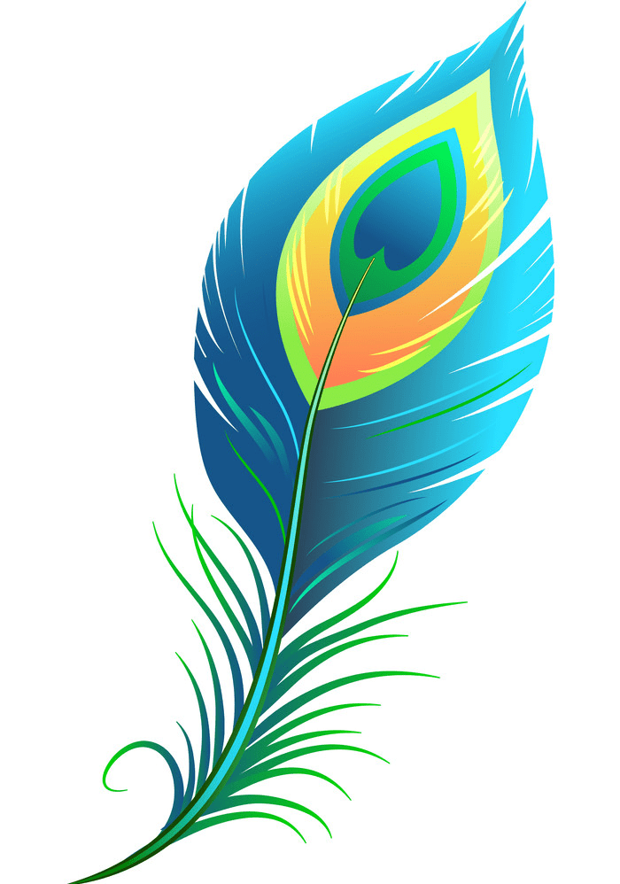 Peacock Feather clipart png