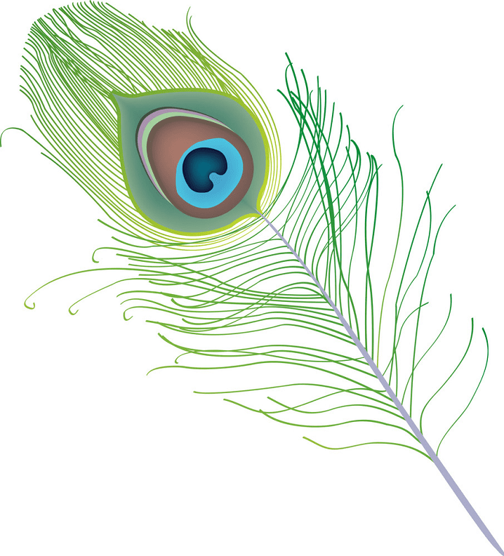 Peacock Feather clipart png free