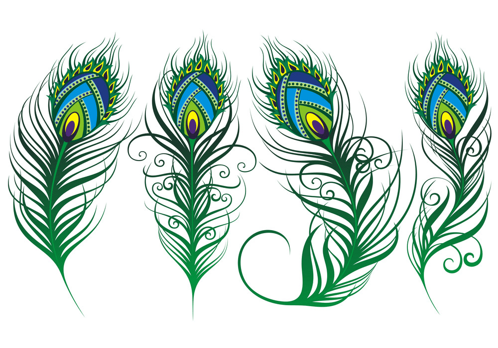 Peacock Feathers clipart