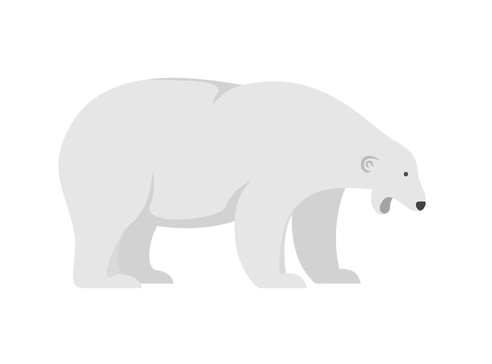 Polar Bear clipart 2