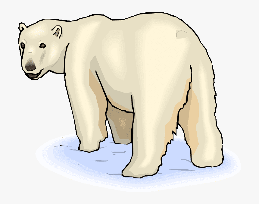 Polar Bear clipart 3