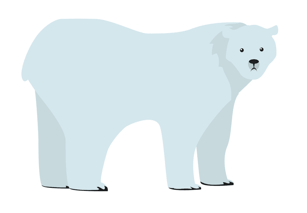 Polar Bear clipart 4