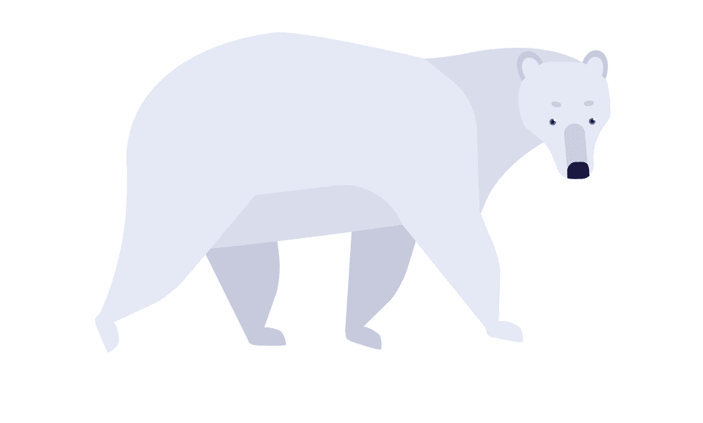 Polar Bear clipart 5
