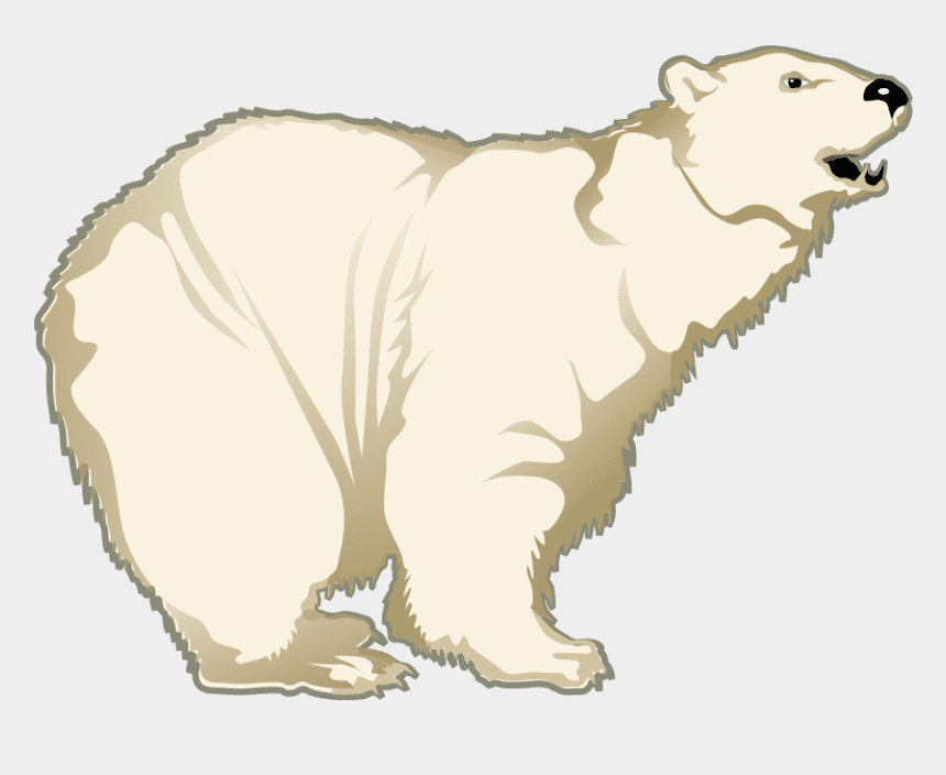 Polar Bear clipart 6