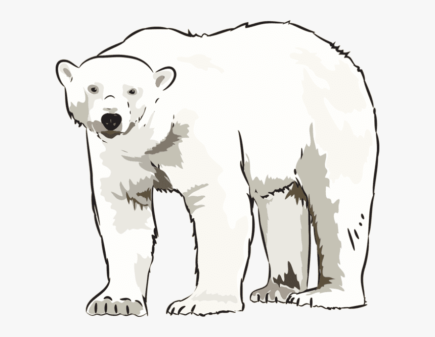 Polar Bear clipart 7