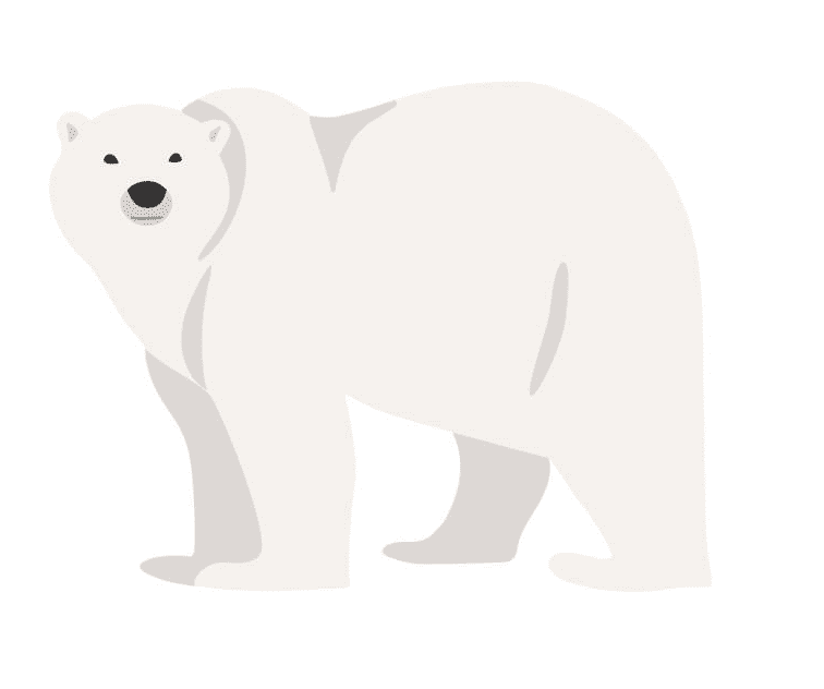 Polar Bear clipart 8