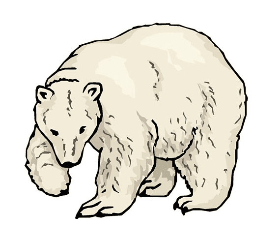 Polar Bear clipart 9