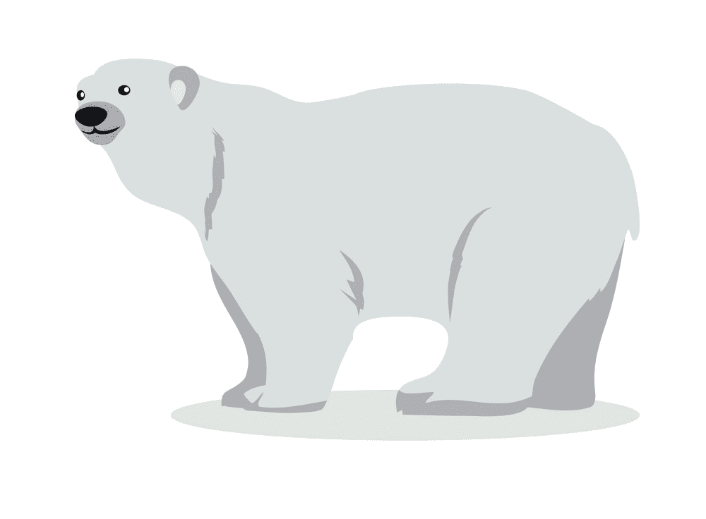 Polar Bear clipart for kids