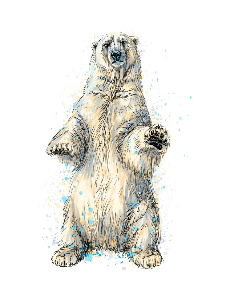 Polar Bear clipart free 3