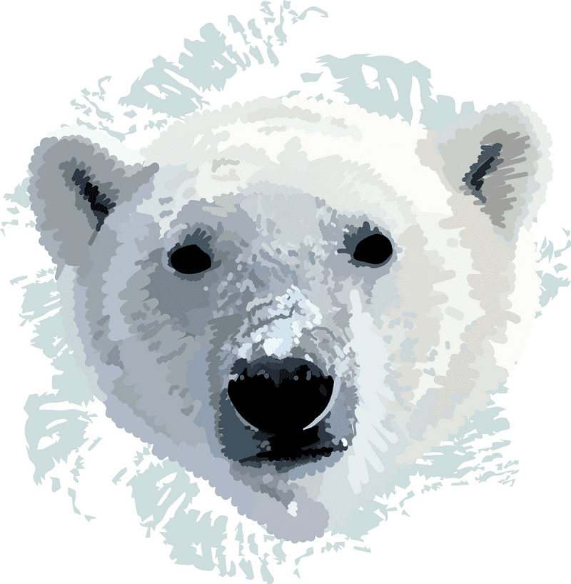 Polar Bear clipart free image