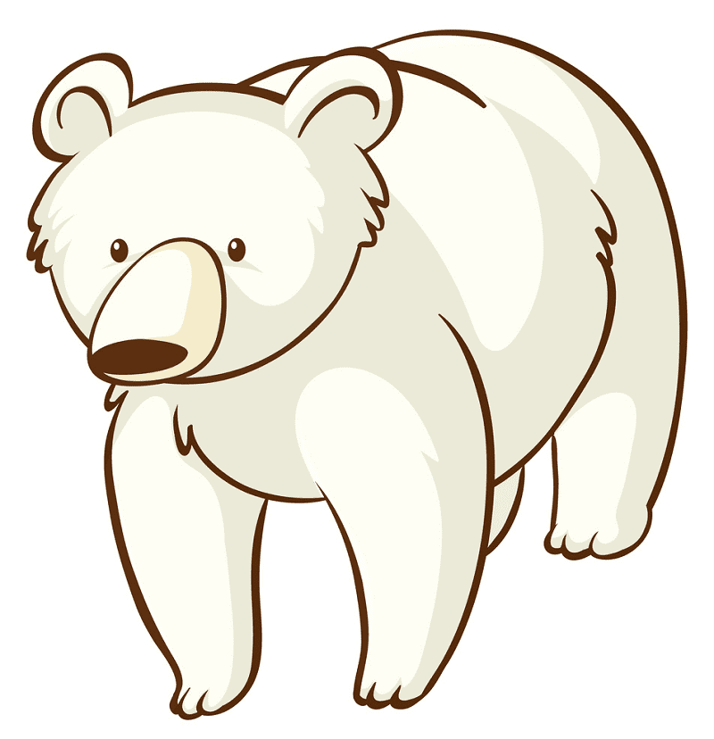 Polar Bear clipart free images