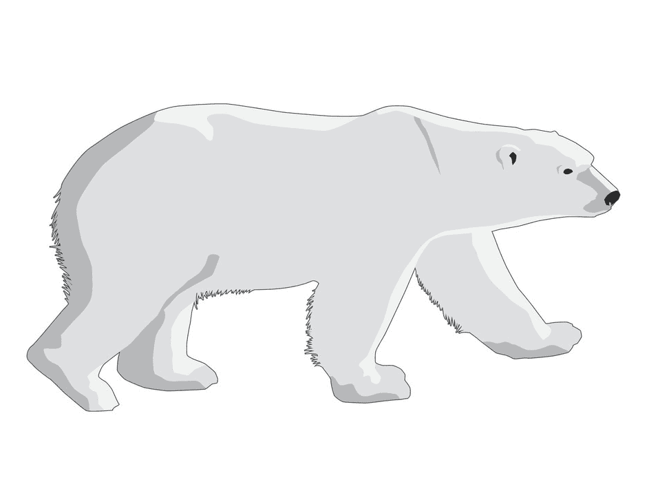 Polar Bear clipart free