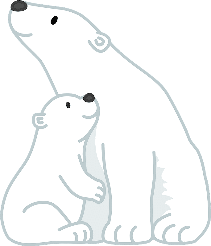 Polar Bear clipart transparent 11