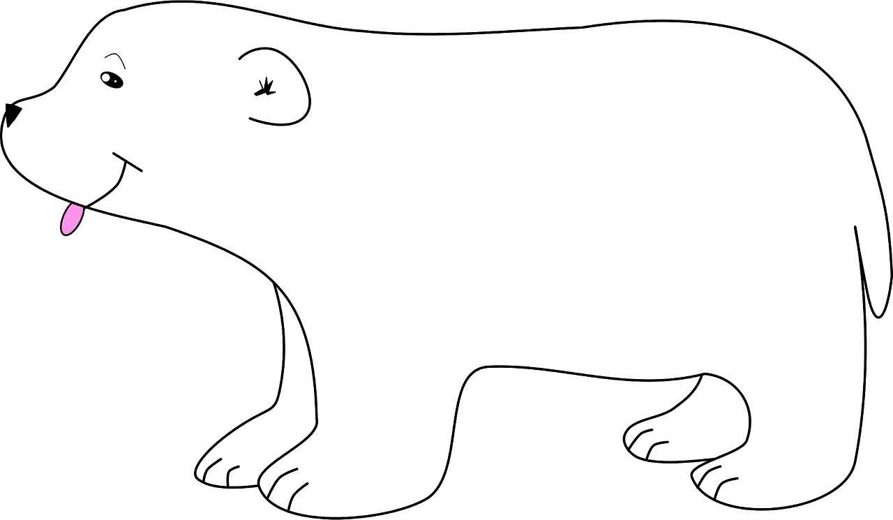 Polar Bear clipart transparent 14