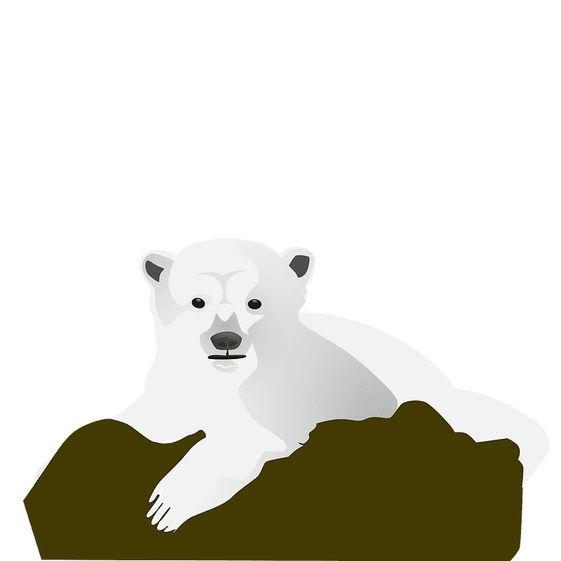 Polar Bear clipart transparent 15