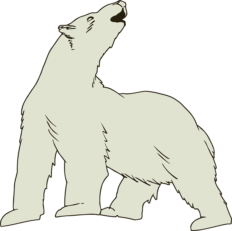 Polar Bear clipart transparent 9