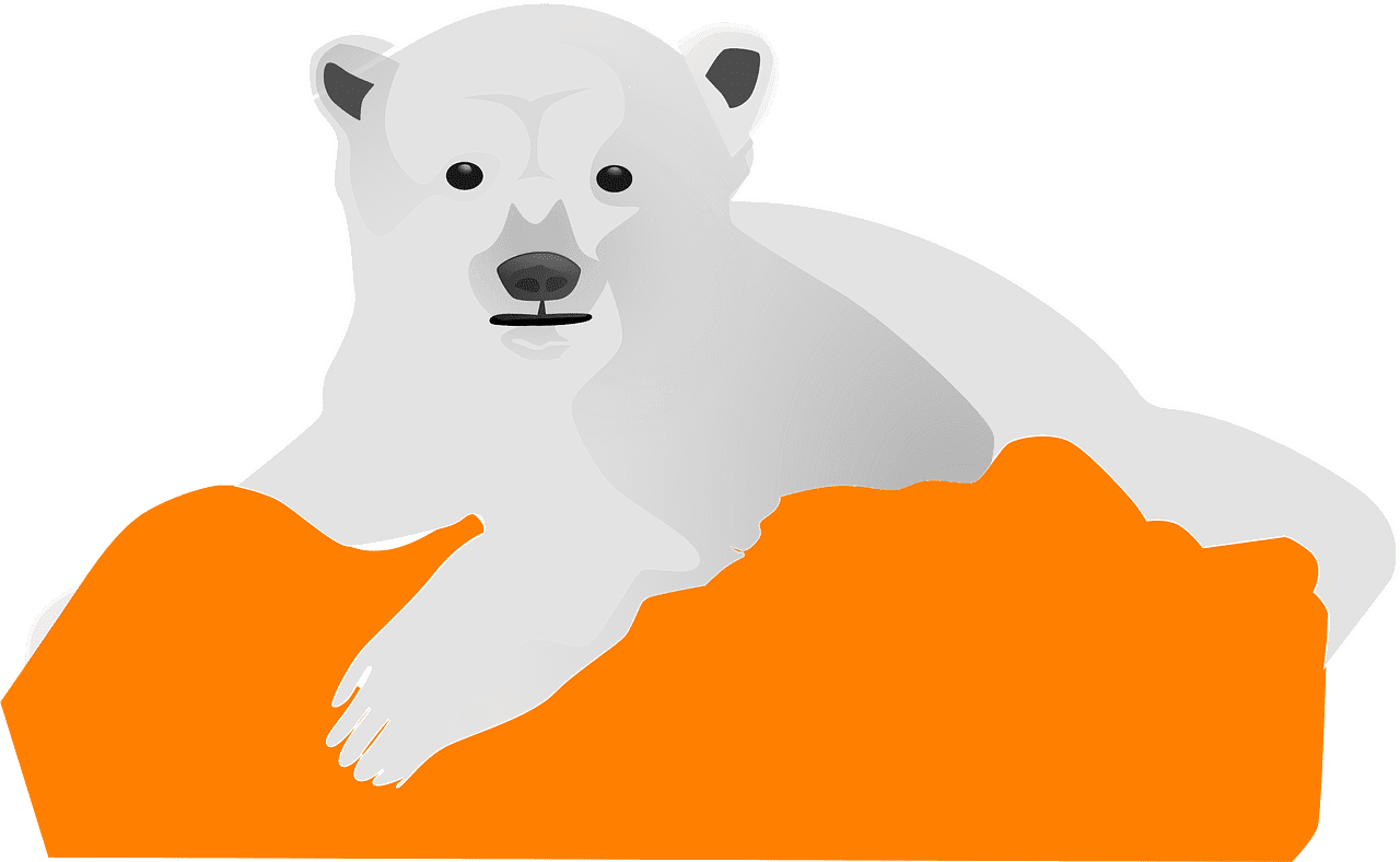 Polar Bear clipart transparent background 3