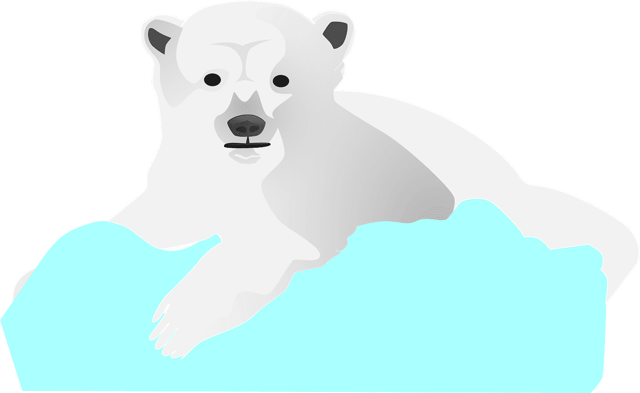 Polar Bear clipart transparent background 4