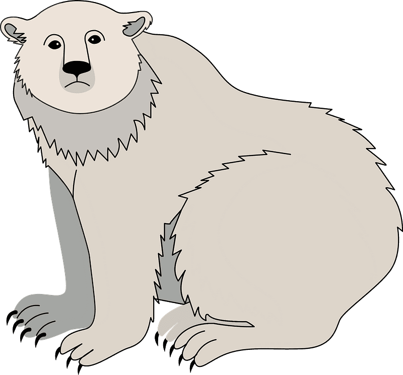 Polar Bear clipart transparent image