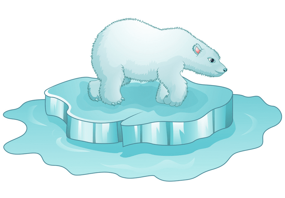 Polar Bear on Ice clipart free