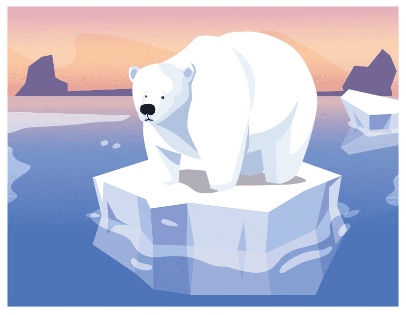 Polar Bear on Ice clipart images