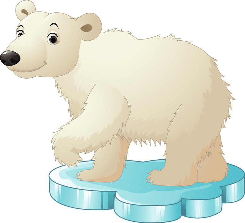 Polar Bear on Ice clipart png image
