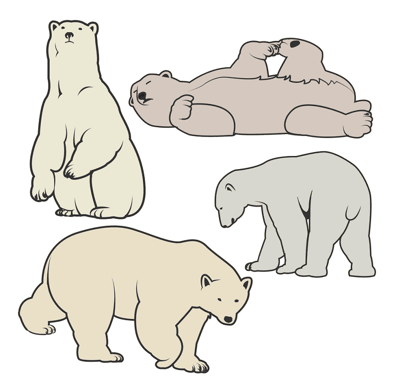 Polar Bears clipart png