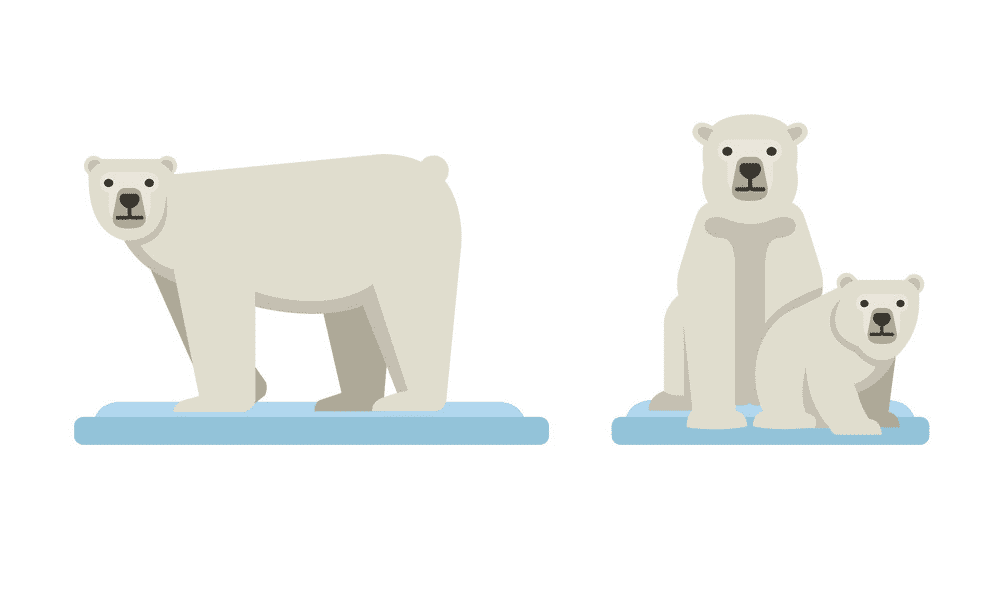 Polar Bears on Ice clipart free