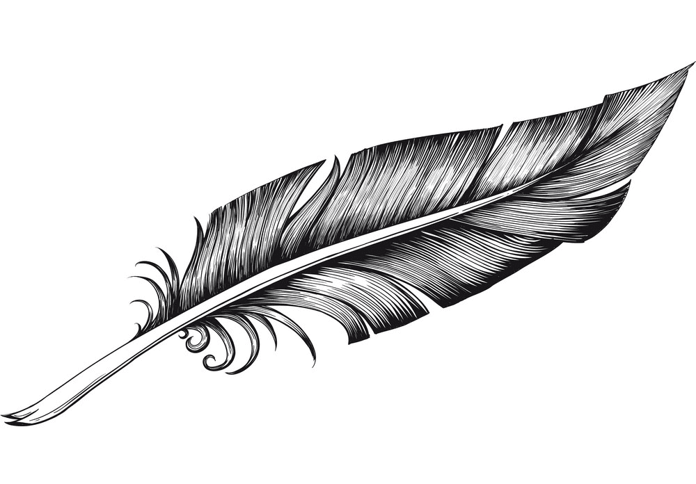 Quill Pen clipart images