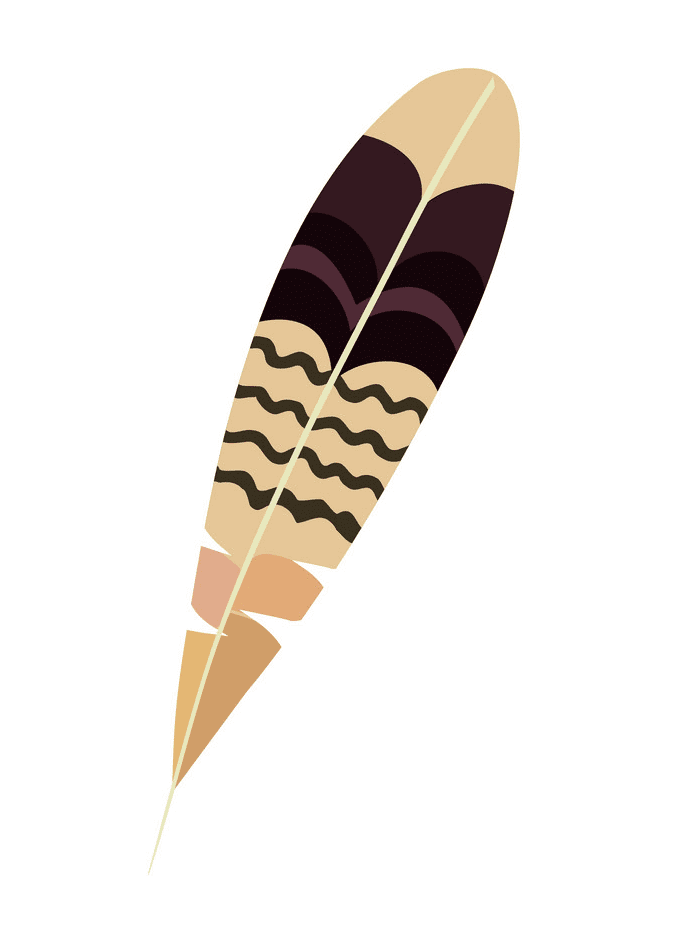 Turkey Feather clipart png