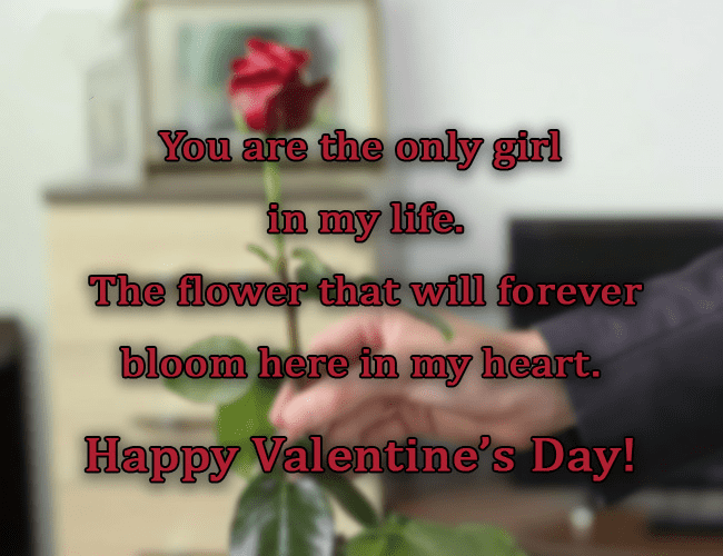 Valentine's Day Wishes png 2