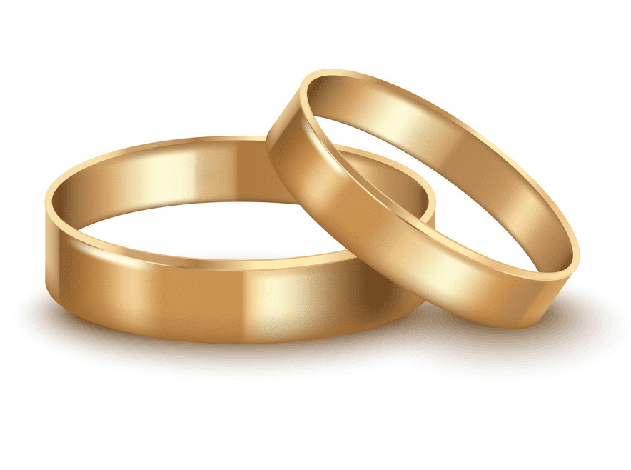 Wedding Rings clipart png image