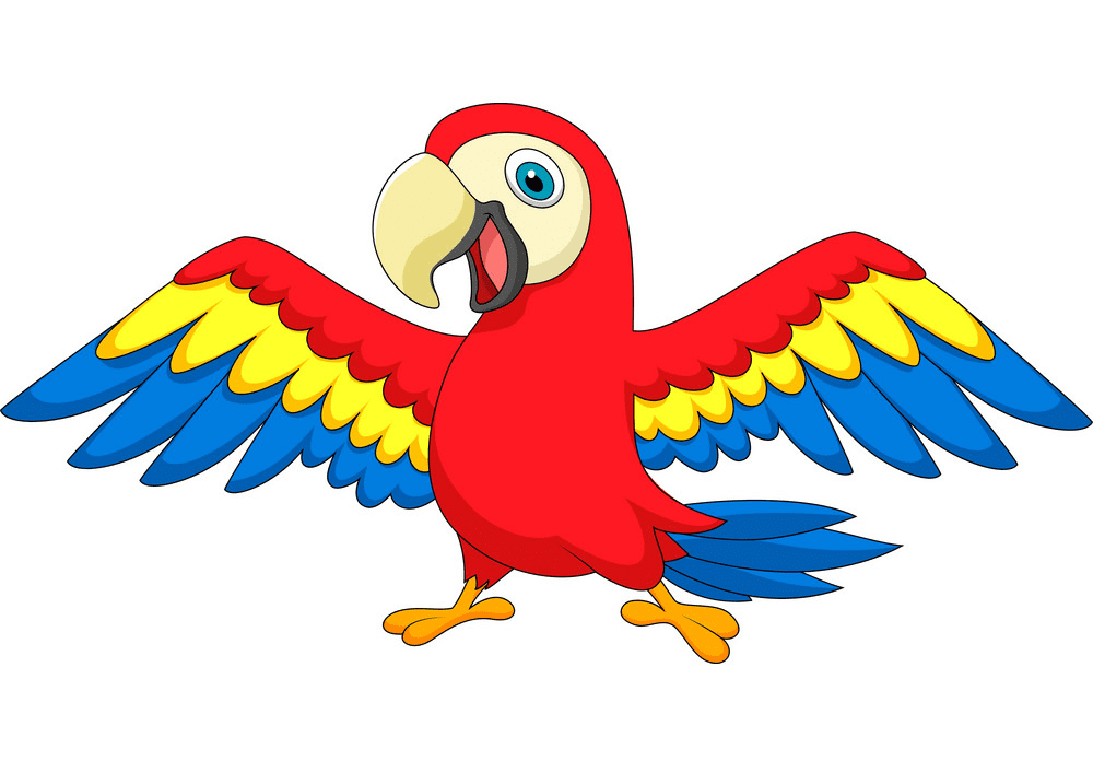 Clipart Parrot free