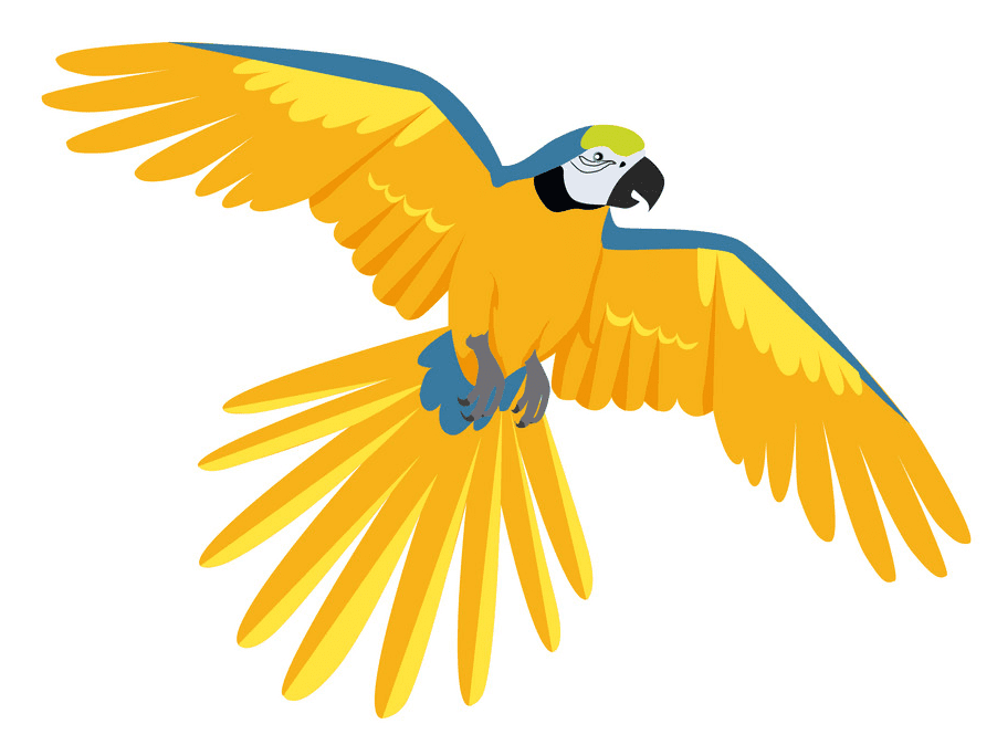 Flying Parrot clipart download