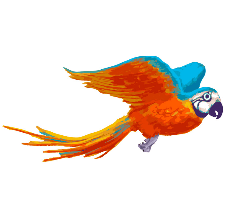 Flying Parrot clipart free