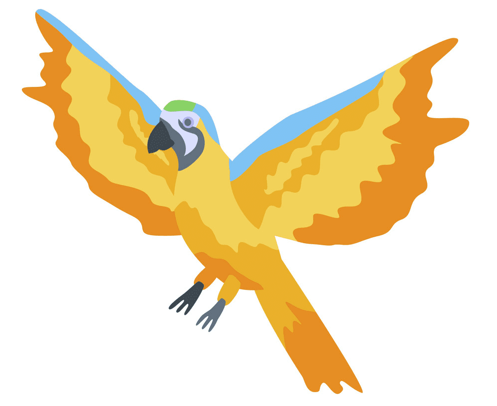 Flying Parrot clipart image