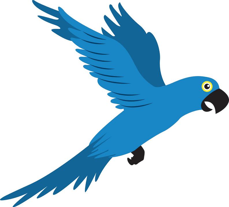 Flying Parrot clipart images