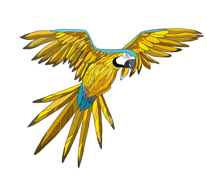 Flying Parrot clipart