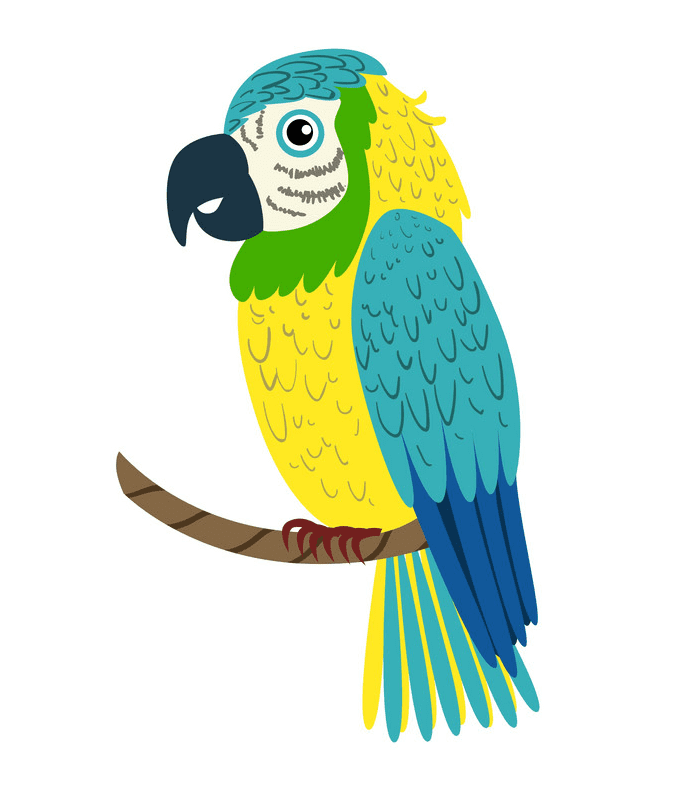 Free Parrot clipart download