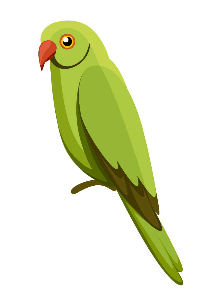 Free Parrot clipart for kid