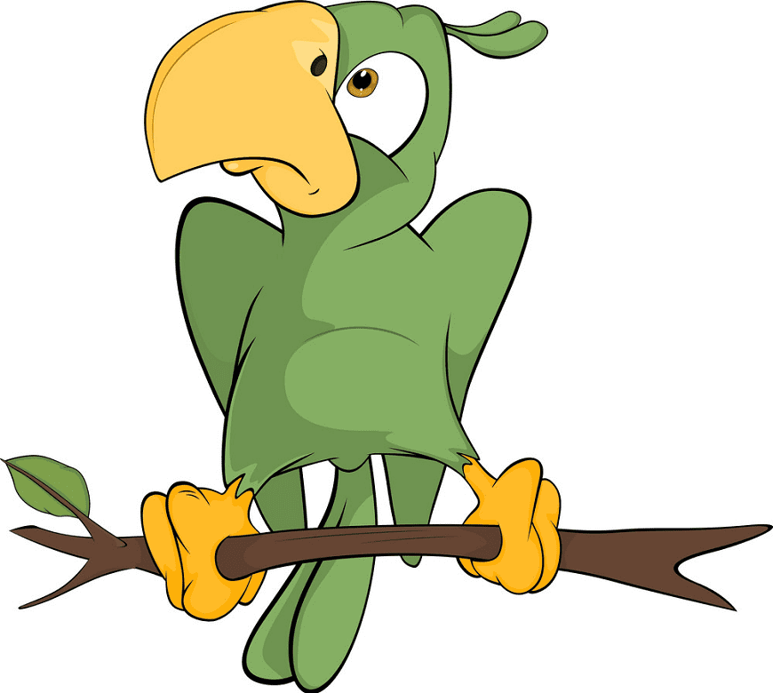 Free Parrot clipart for kids